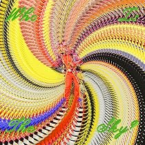 Amazon.co.jp: AMERICAN UTOPIA: ミュージック